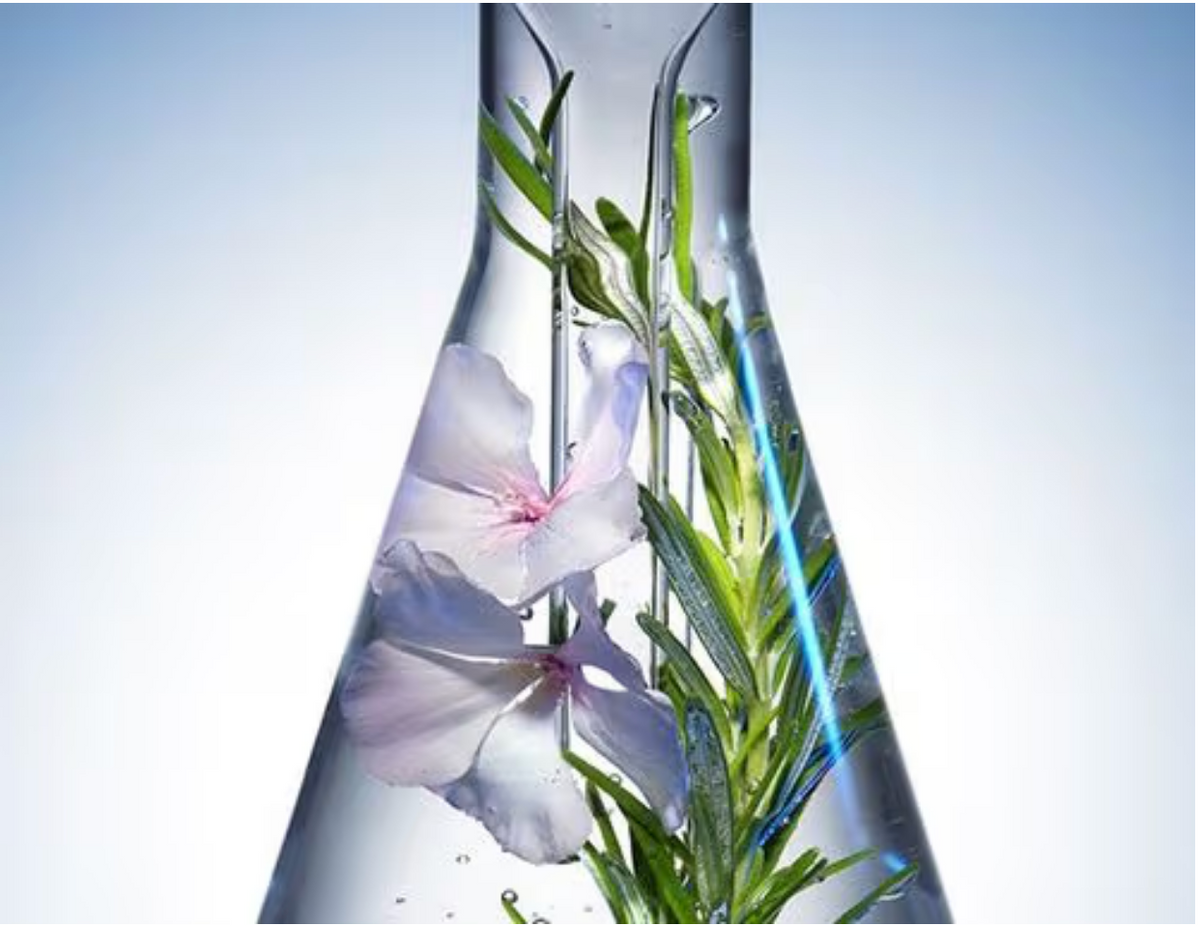 PHYTO USA
