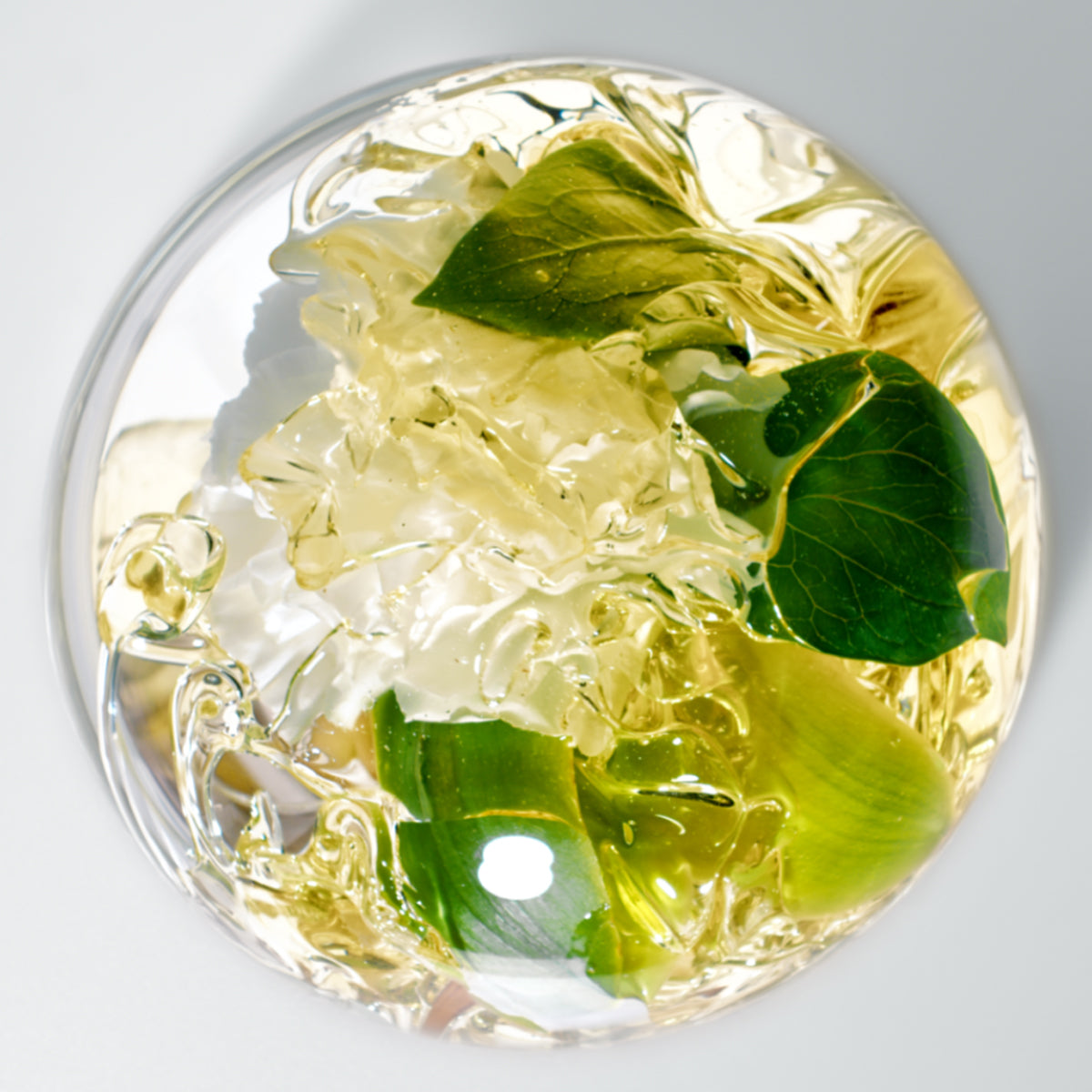 PHYTO USA
