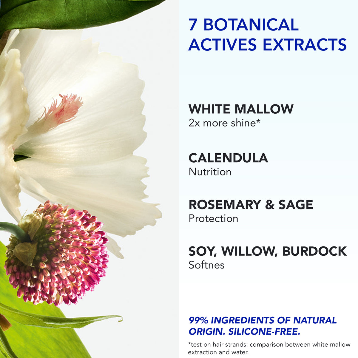 Floral elements with botanical active extracts for the PHYTO 7 Elixir Universal Day Cream listed on a white background