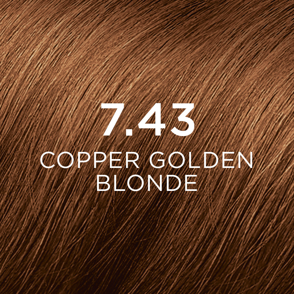 Phyto Hair Color Chart