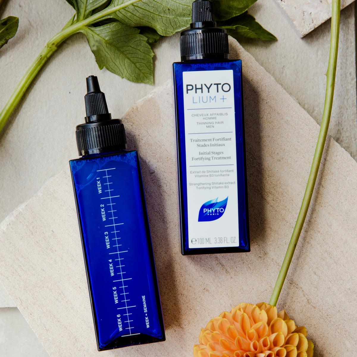 PHYTOLIUM+ Initial Stages Strengthening Treatment